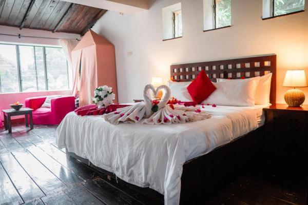 Отель Hibiscus House Gambia Бруфут Экстерьер фото
